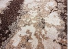 Тъкан килим MAGNOLIA 165 beige